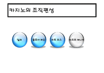 [관광학] 국내 카지노 리조트 현황과 활성화 방안-7