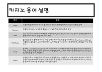 [관광학] 국내 카지노 리조트 현황과 활성화 방안-9