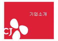 [경영학] CJ 제일제당의 글로벌 전략 분석-3