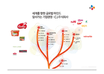 [경영학] CJ 제일제당의 글로벌 전략 분석-5