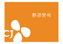 [경영학] CJ 제일제당의 글로벌 전략 분석-6