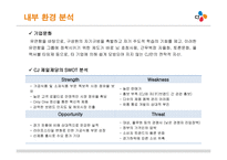 [경영학] CJ 제일제당의 글로벌 전략 분석-8