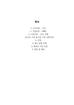 [국제경영] BOP시장 SPAO 진출 전략-1