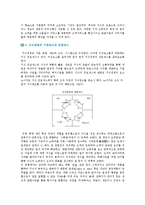 지식경영의 특징과 성공사례-5