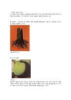 낯설게 하기 레포트-7