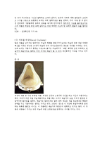낯설게 하기 레포트-10