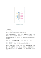기초공학설계 중간결과 보고서-5