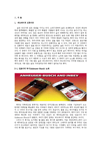 [국제광고] 버드와이저의 광고 분석 및 마케팅 전략 제안-2