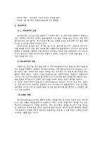 [국제광고] 버드와이저의 광고 분석 및 마케팅 전략 제안-4
