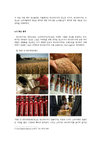 [국제광고] 버드와이저의 광고 분석 및 마케팅 전략 제안-19