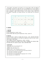 [사회복지] 만성정신병원에서의 의료사회복지-11