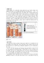 말레이시아 인도네시아에서의 한류의 문제점과 해결방안-2