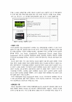 말레이시아 인도네시아에서의 한류의 문제점과 해결방안-3