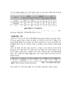 말레이시아 인도네시아에서의 한류의 문제점과 해결방안-4