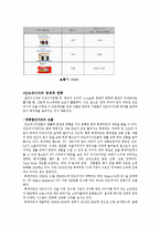 말레이시아 인도네시아에서의 한류의 문제점과 해결방안-5