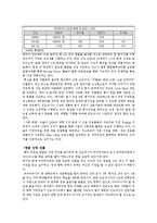 말레이시아 인도네시아에서의 한류의 문제점과 해결방안-6