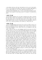 말레이시아 인도네시아에서의 한류의 문제점과 해결방안-7