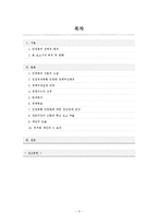 [정책학] 인천국제공항 민영화 이슈 분석-2