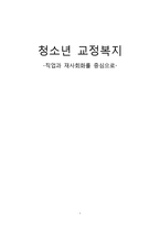 [사회복지] 청소년 교정복지-직업과 재사회화-1