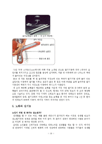 [성심리] 성기능 장애와 치료, 노화와 성기능 연구-20