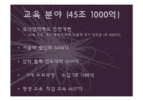 [정책학] 2012년 예산안 분석-11
