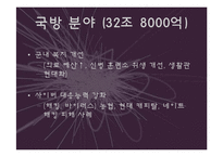 [정책학] 2012년 예산안 분석-14