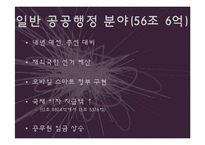[정책학] 2012년 예산안 분석-18