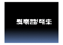 [정책학] 대한민국 영토분쟁 사례연구-14