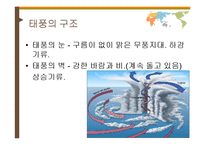 [환경학] 자연재해 사례 분석-태풍의 특징과 영향-7