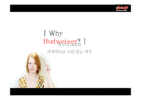 [국제광고] 버드와이저의 광고 분석 및 마케팅 전략 제안-3