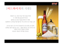 [국제광고] 버드와이저의 광고 분석 및 마케팅 전략 제안-8