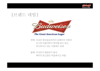 [국제광고] 버드와이저의 광고 분석 및 마케팅 전략 제안-9