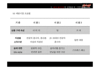 [국제광고] 버드와이저의 광고 분석 및 마케팅 전략 제안-17