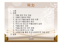 [사회복지] 청소년 약물남용과 학교사회복지-2