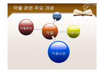 [사회복지] 청소년 약물남용과 학교사회복지-3