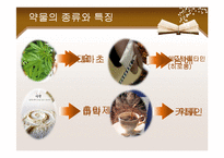 [사회복지] 청소년 약물남용과 학교사회복지-4
