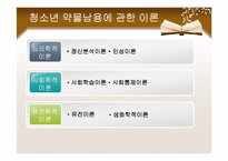 [사회복지] 청소년 약물남용과 학교사회복지-5