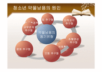 [사회복지] 청소년 약물남용과 학교사회복지-6