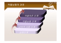 [사회복지] 청소년 약물남용과 학교사회복지-9