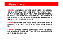[독일문화] 독일인의 일상과 축제, 스포츠 문화 조사-18