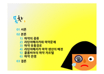 [국제문화] 라틴아메리카와 마약문제-2