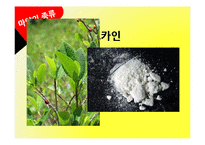 [국제문화] 라틴아메리카와 마약문제-4