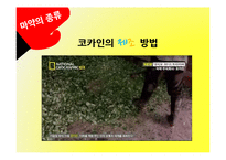 [국제문화] 라틴아메리카와 마약문제-5