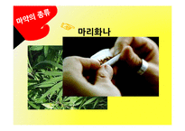 [국제문화] 라틴아메리카와 마약문제-6