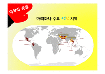 [국제문화] 라틴아메리카와 마약문제-7