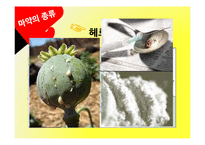 [국제문화] 라틴아메리카와 마약문제-8