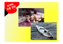 [국제문화] 라틴아메리카와 마약문제-12