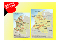 [국제문화] 라틴아메리카와 마약문제-16