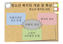[사회복지] 청소년 복지 발달과정 및 필요성과 내용-5