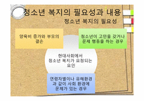 [사회복지] 청소년 복지 발달과정 및 필요성과 내용-18